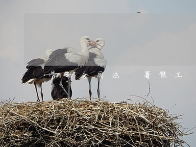 劳动合同法 暑假工 劳动合同法 暑假工